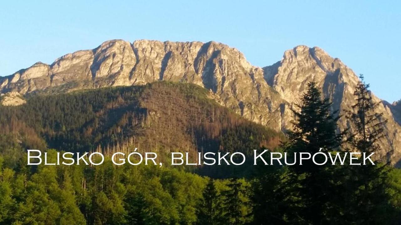 Willa Otulina Pod Giewontem Zakopane Exterior photo
